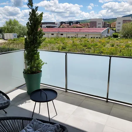 Dacrilo 12 公寓 克卢日-纳波卡